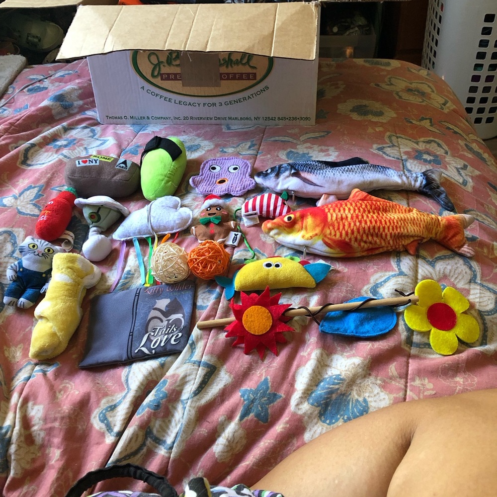 Assorted Plush Cat Toys - Colorful Multi-Pack